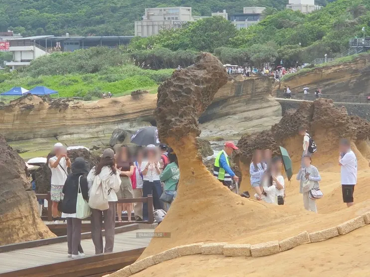 예류지질공원 대만 버스투어 후기 입장료 여왕바위 포토존 꿀팁
