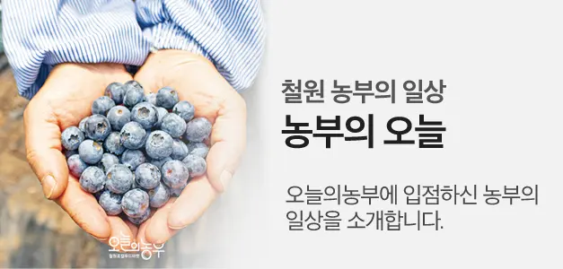 오늘의농부