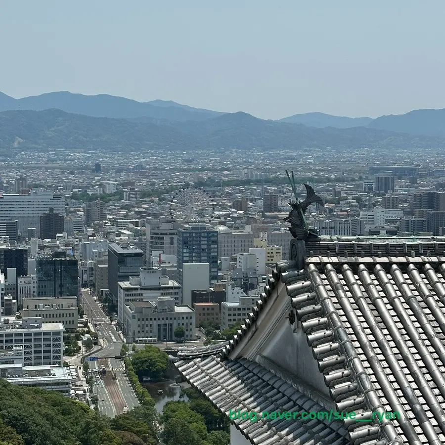 松山城から見下ろす街並み
