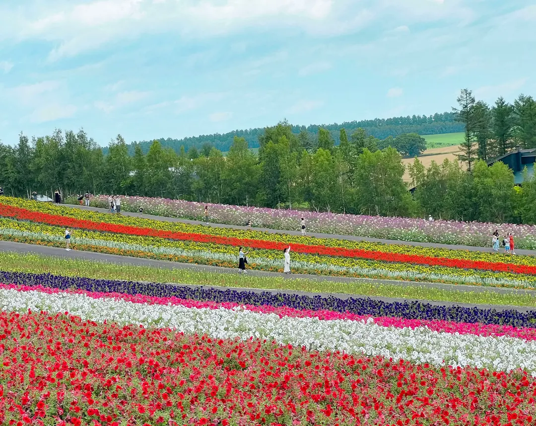 A vibrant field of various flowers at Shikisai-no-Oka in Biei, Hokkaido.