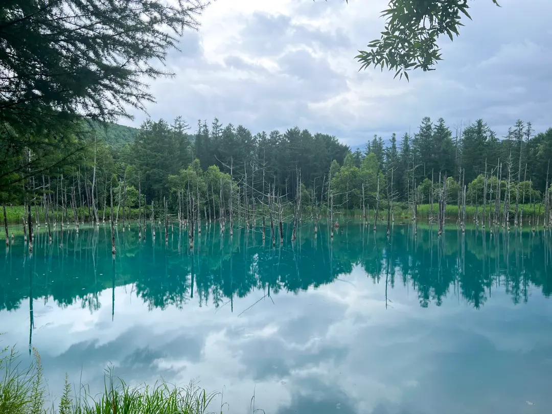 The stunning Shirahige Waterfall, with its unique blue waters.