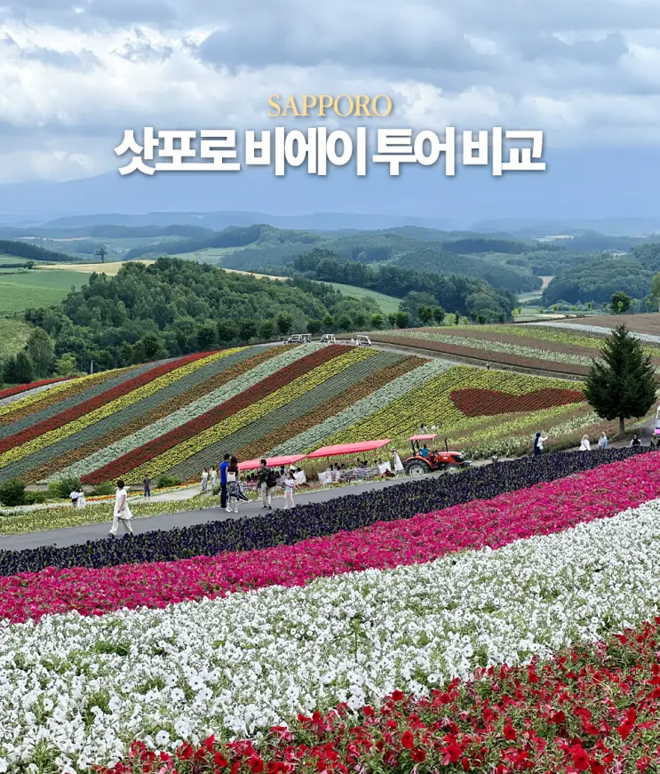 Comparing 7 Sapporo Biei Bus Tours & Booking Junpei
