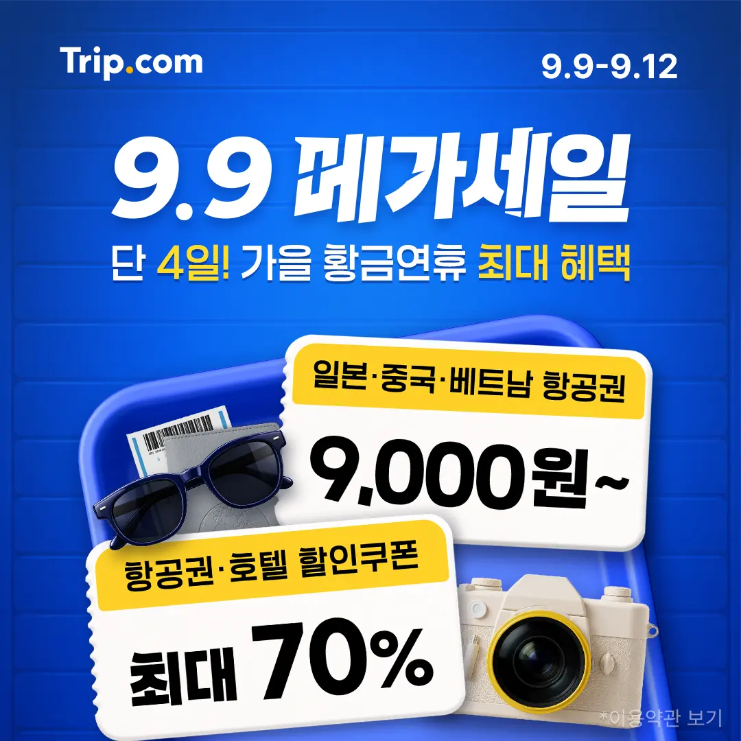 9.9 메가세일