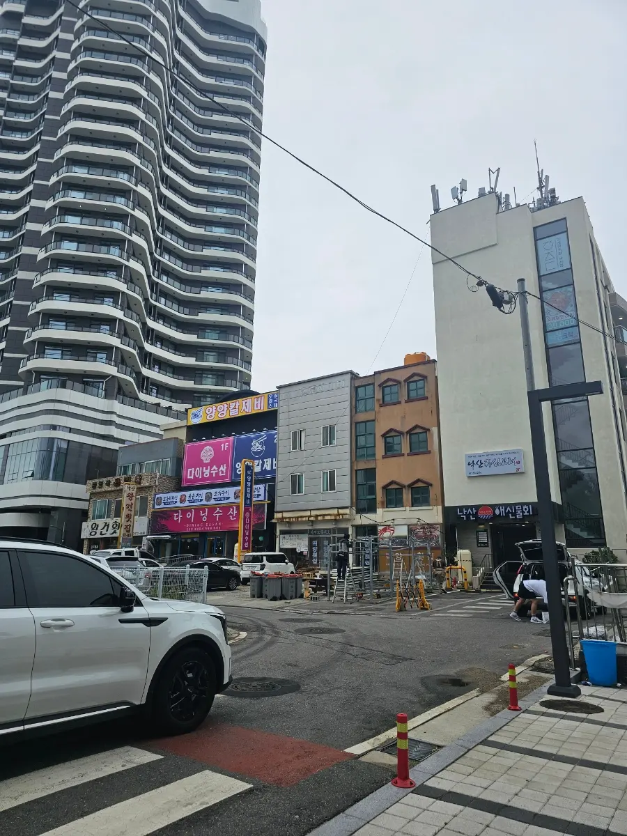 裏口側