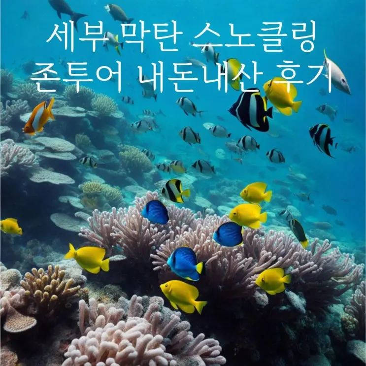 세부 호핑 투어 추천 존투어 후기 가격 예약 내돈내산