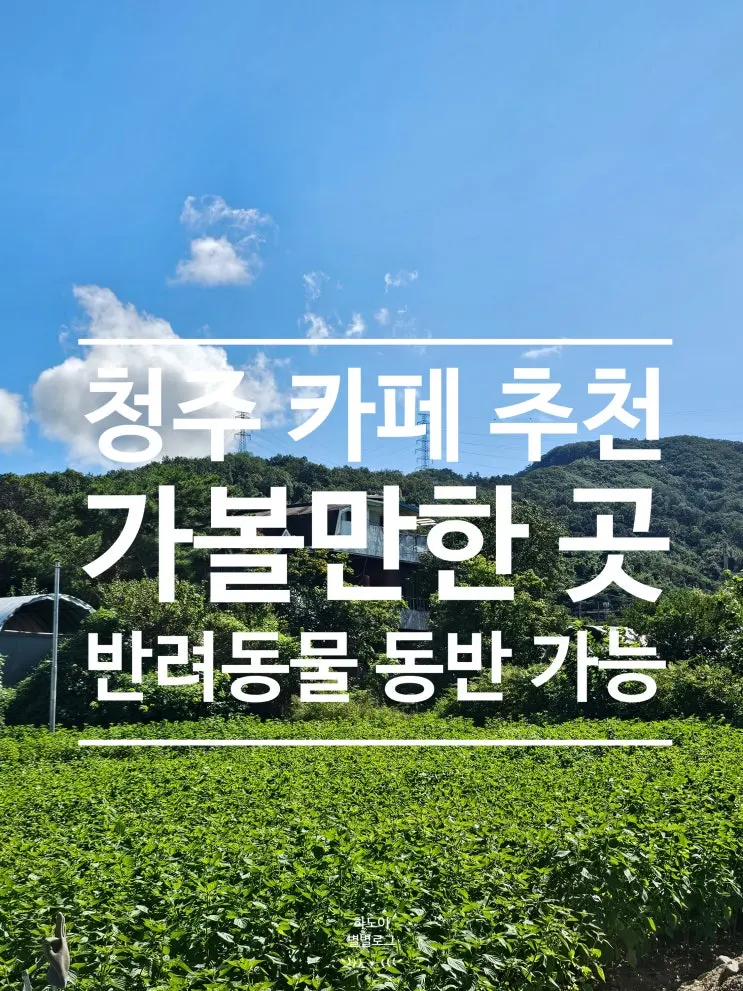 청주 애견동반 가능한 카페 어디일까? 근교카페 컨트리하우스 무화과 케이크 초코롤 메뉴 분위기 다녀온 후기