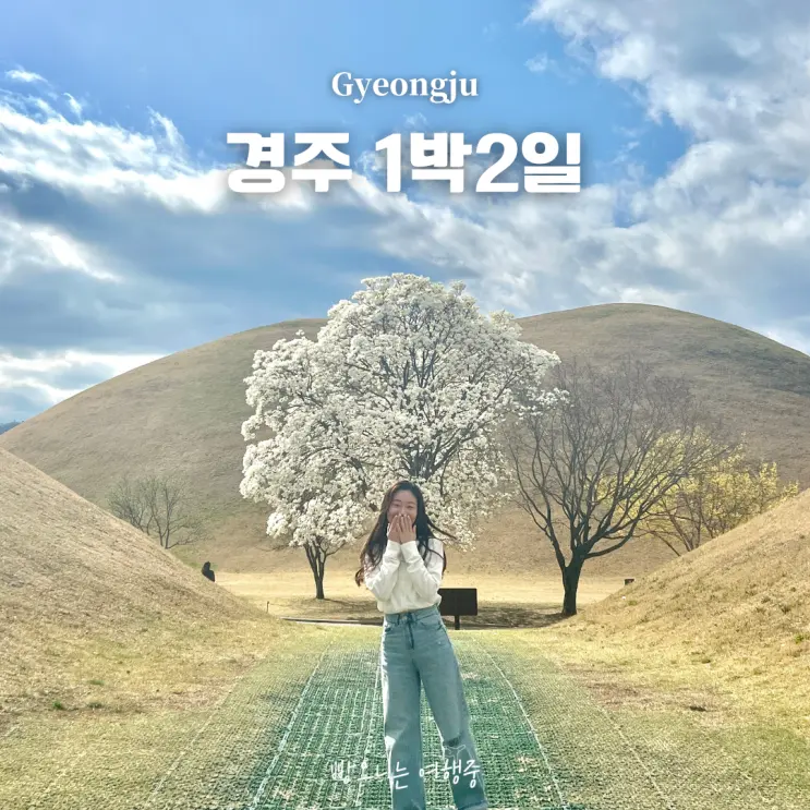 경주 1박 2일 일정 코스 주말 여행 | 뚜벅이, 목련 만개 시기