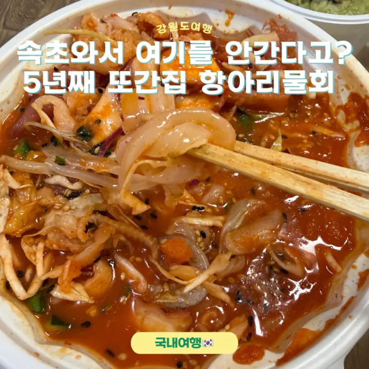 5년째 방문한 속초 해수욕장 맛집 항아리물회 후기