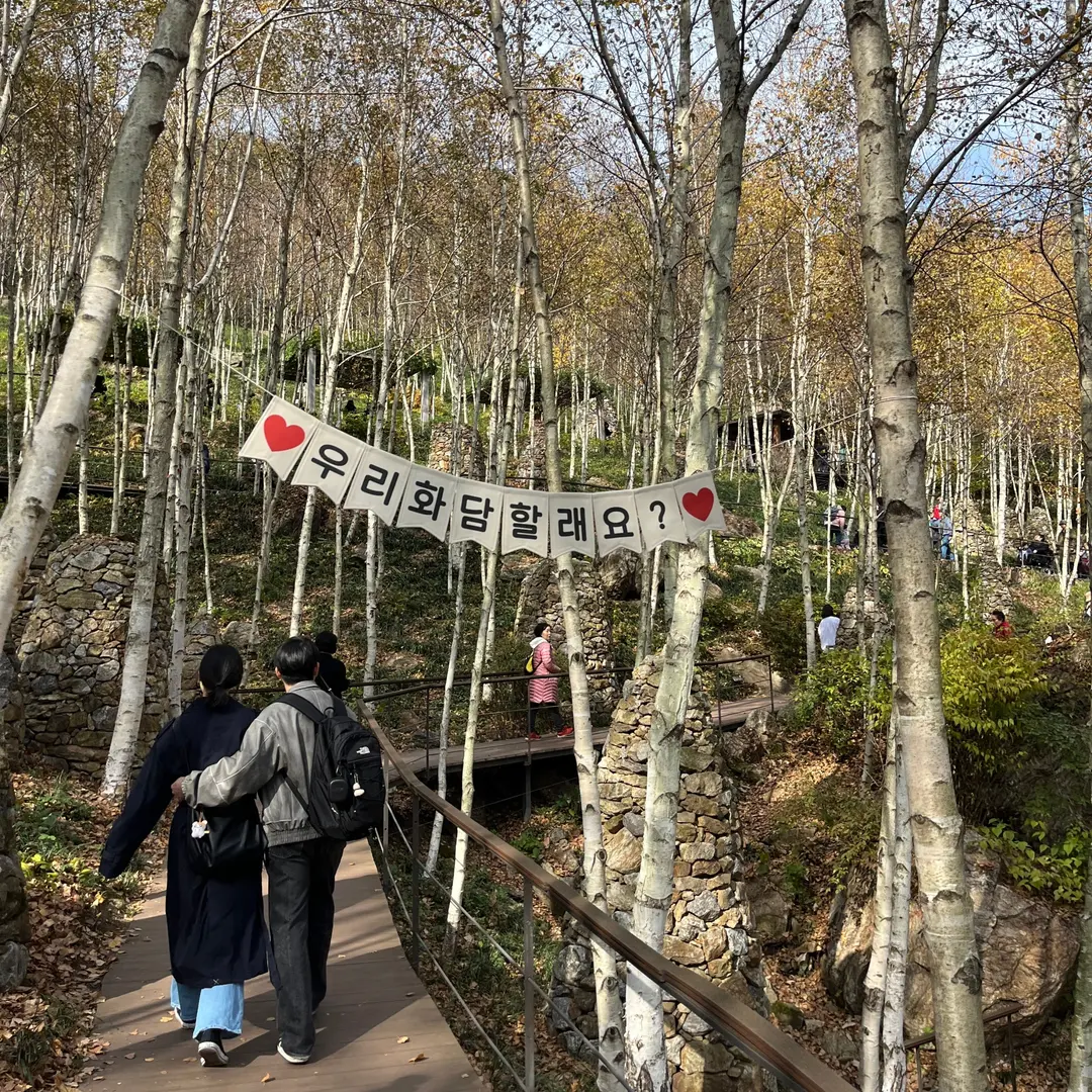 자작나무숲