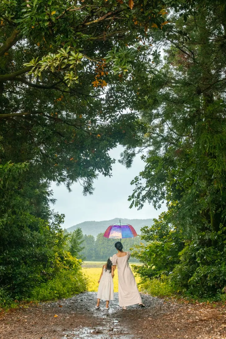 Don't let rain stop your Jeju trip! A collection of recommended Eastern Jeju attractions for rainy days.