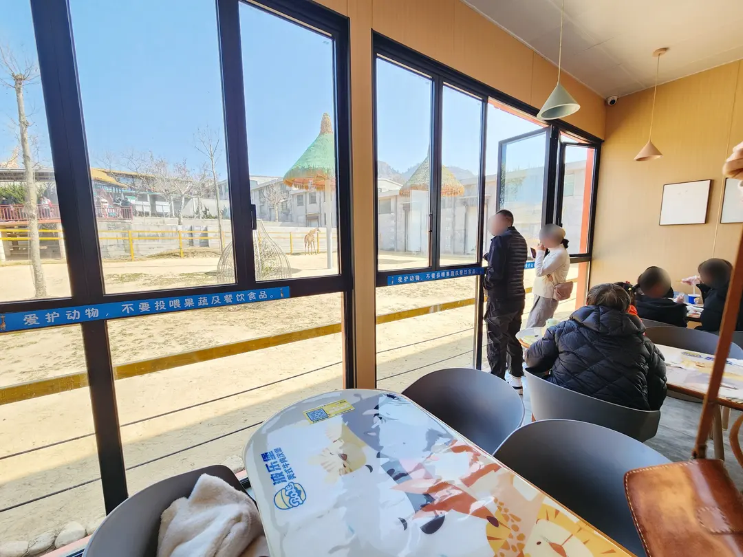 Giraffe peeking into restaurant
