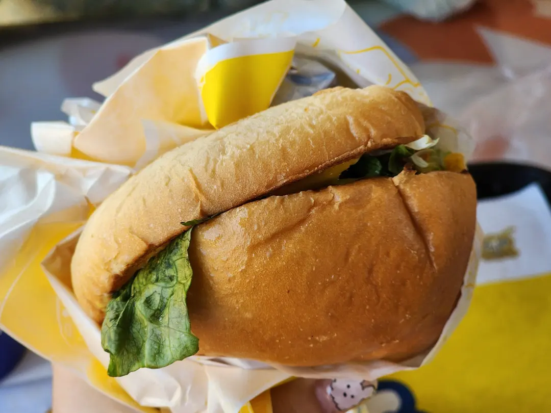 Burger close-up