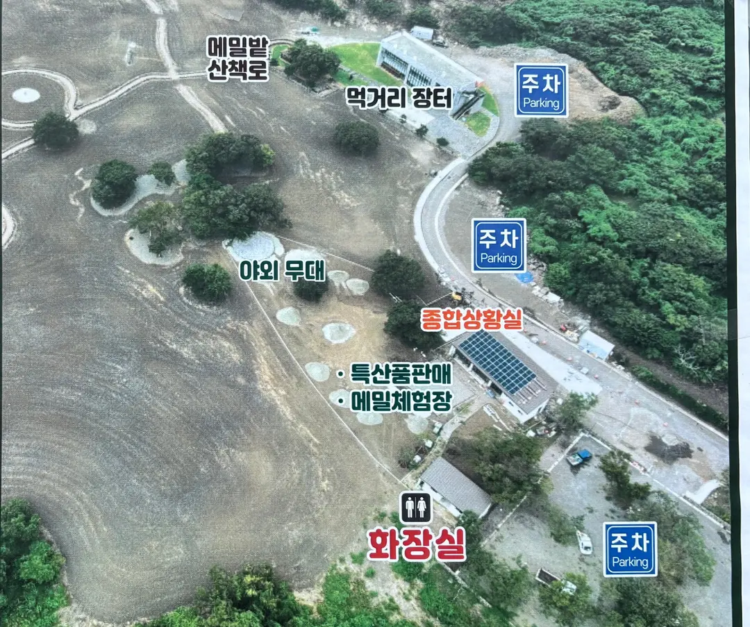 October Jeju Wahle Buckwheat Village