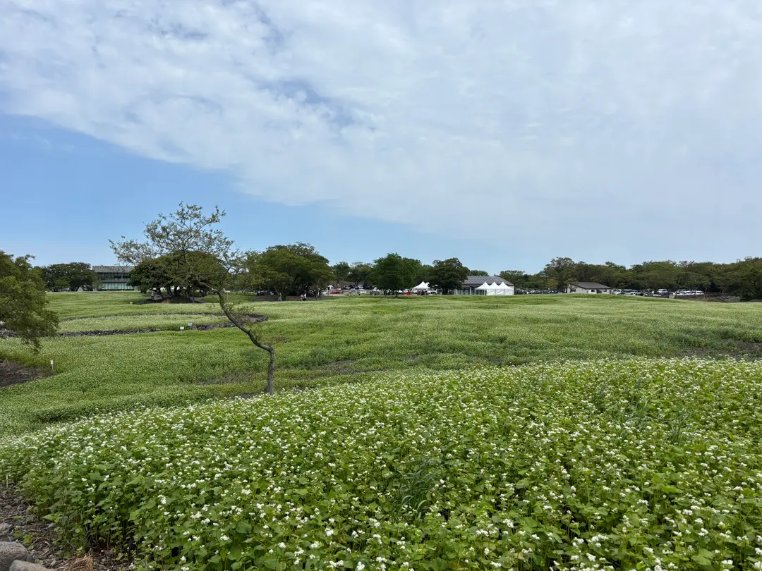 Recommended places to visit in East Jeju in October