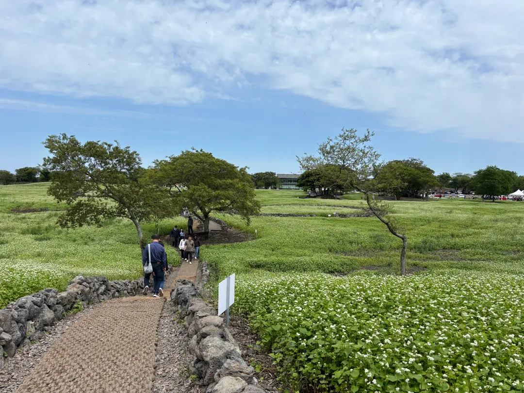 East Jeju dog-friendly travel destination