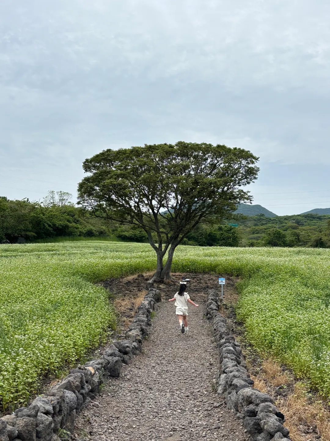 Recommended places to visit with kids in East Jeju