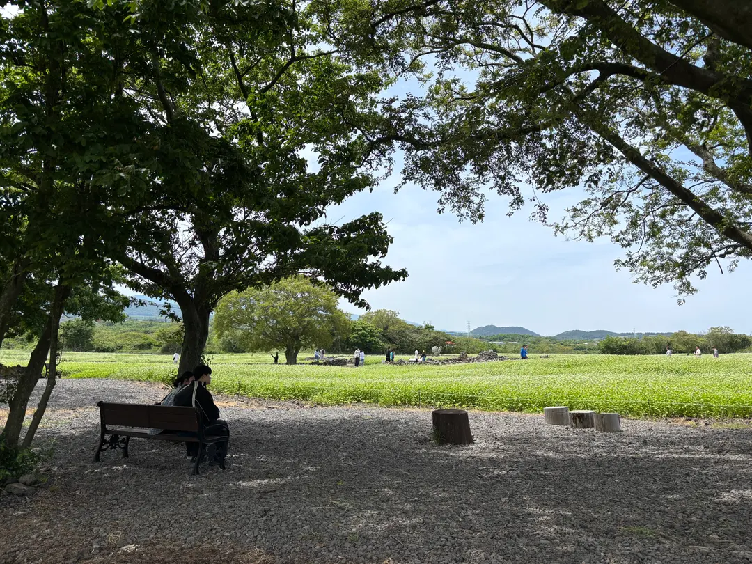 가을 제주 동쪽 부모님여행코스