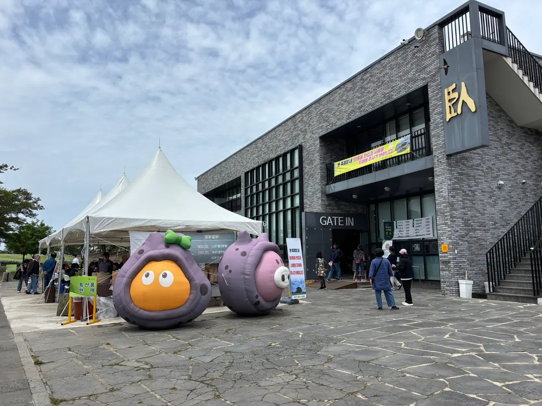 10월 제주 와흘메밀마을 후기