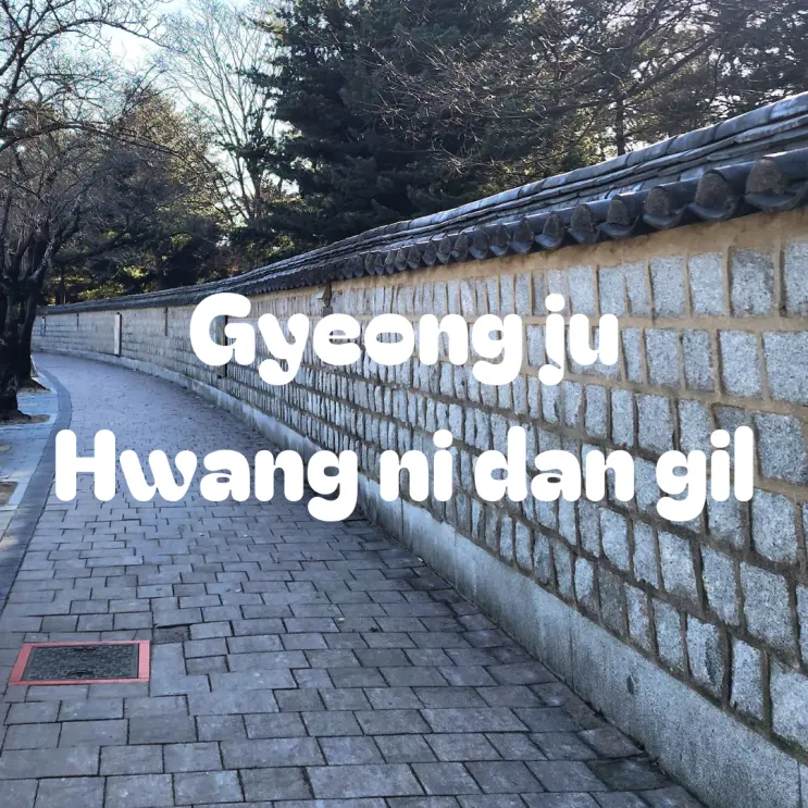 부산 경주 여행 코스 황리단길 맛집 소품샵 데이트 뚜벅이 당일치기