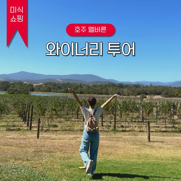 멜버른 와이너리 투어 야라밸리 미식여행 후기