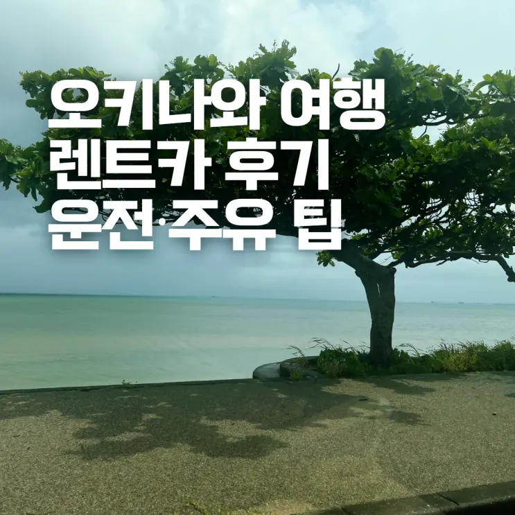 오키나와 3박4일 렌트카 여행 후기 우측 핸들 운전 주유 팁 총정리