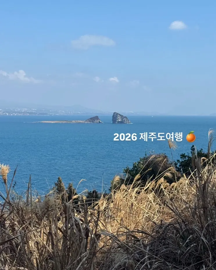 2026 봄 제주도 여행 코스 2박3일 일정 몰아보기