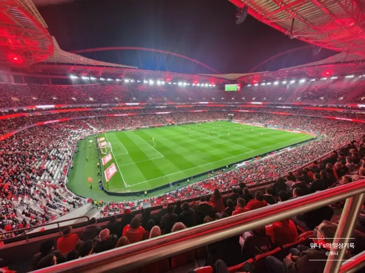 [리스본] SL Benfica(SL벤피카) 유럽 축구 직관 후기 - 에스타디오 다 루즈