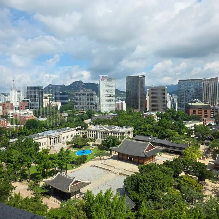 정동전망대, 서울에서 무료로 즐기는 덕수궁 가을 뷰