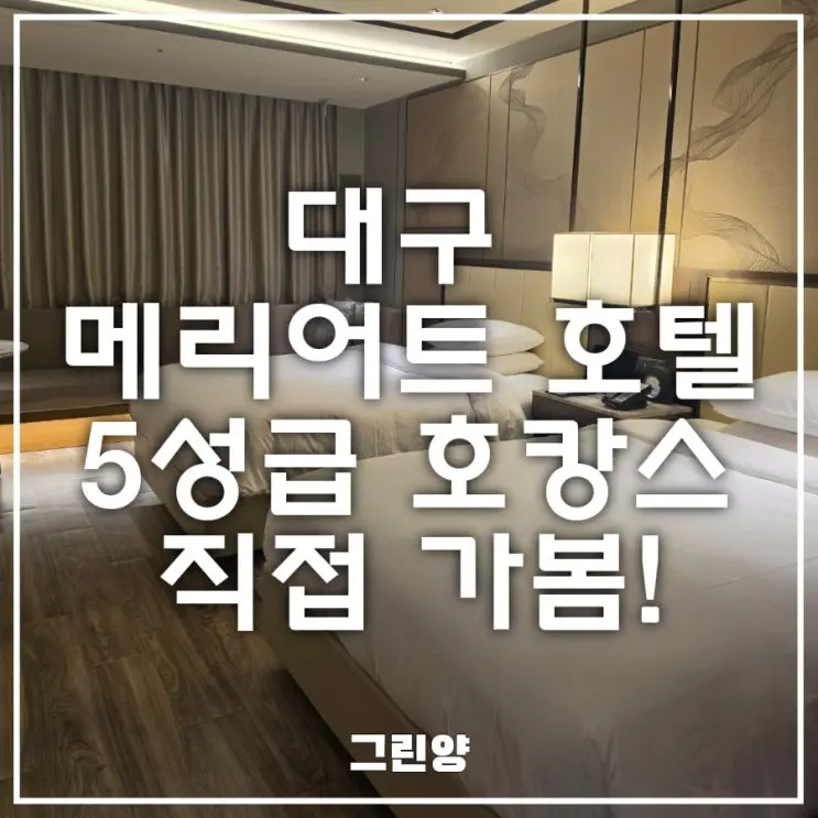 대구 메리어트 호텔 후기 | 5성급 호캉스, 동대구역 10분컷! 복도 향기의 정체는?