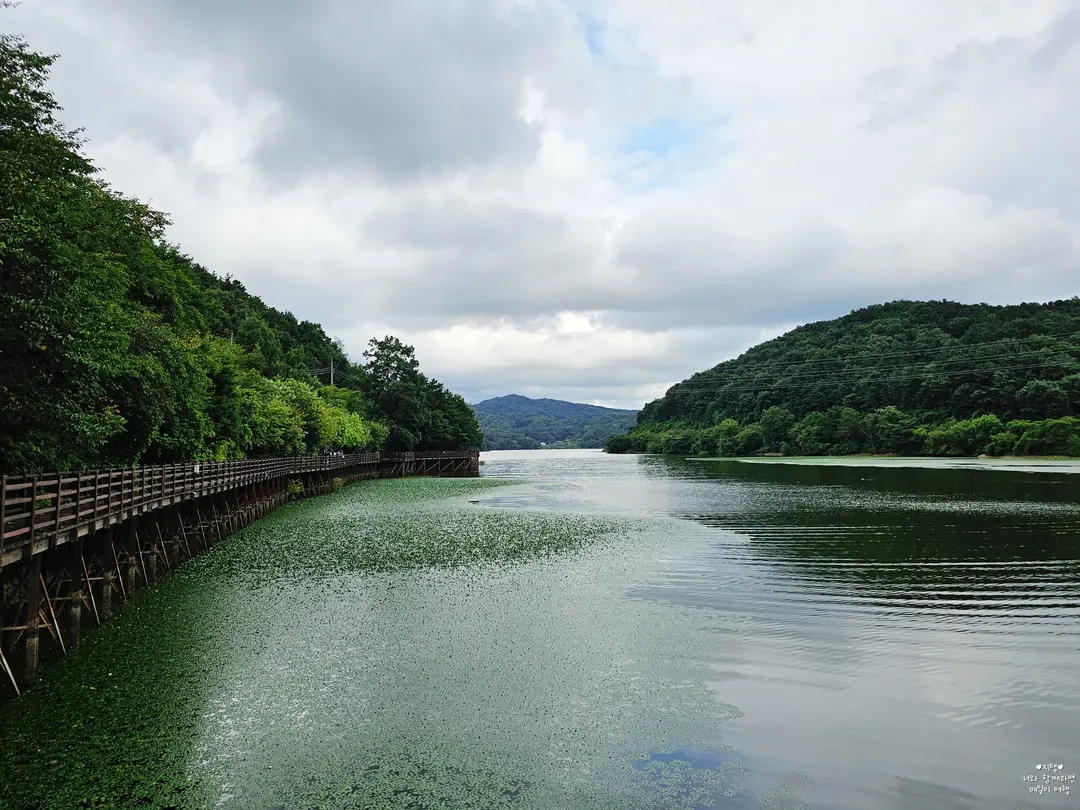 Cloudy weather made for a pleasant stroll!