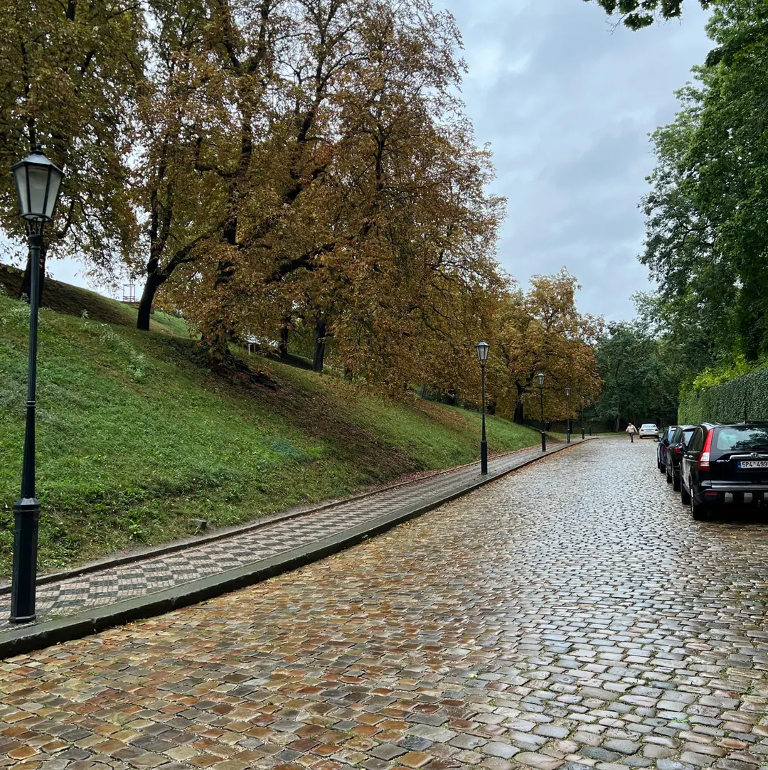 Vyšehrad's pathways and greenery