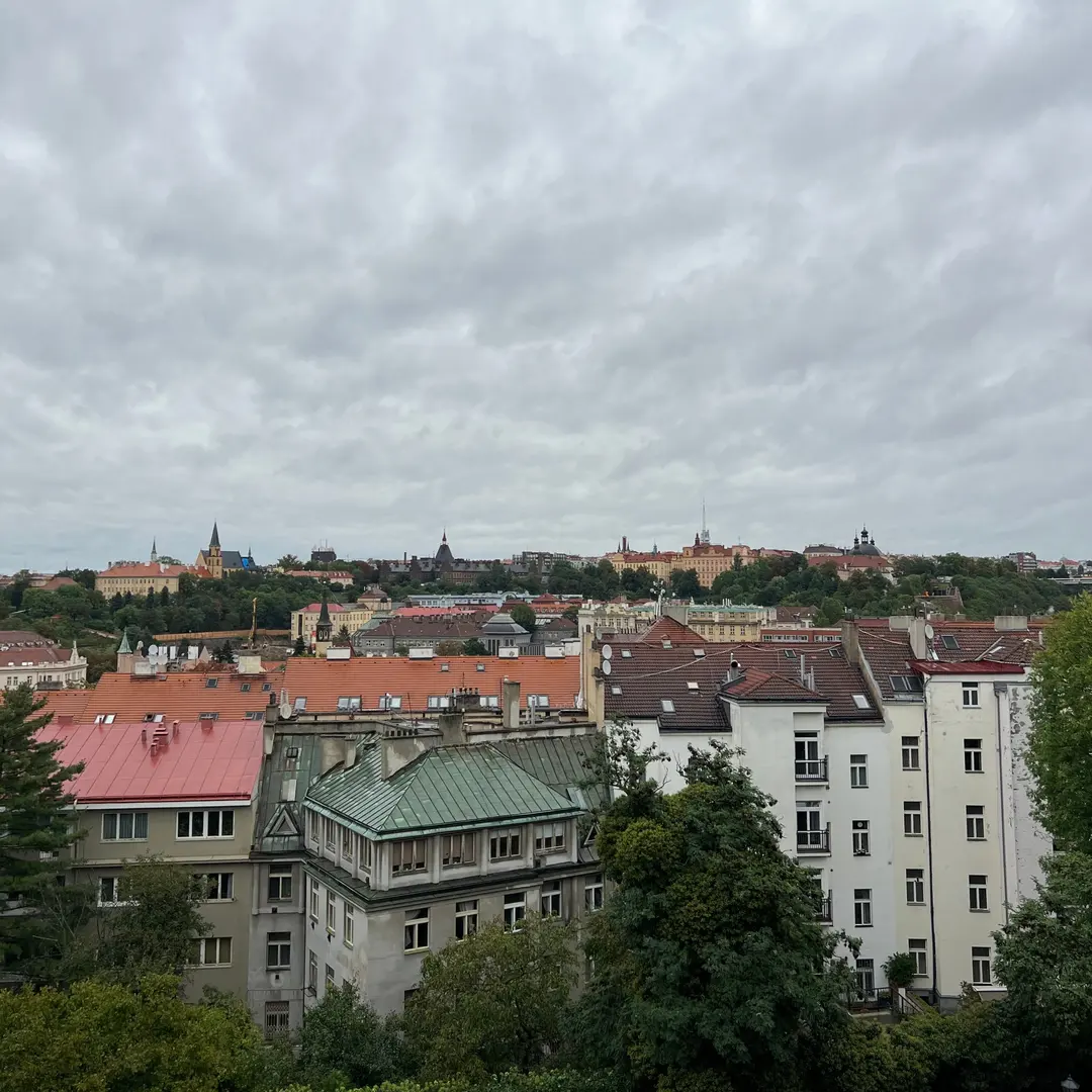 View of Prague through trees from Vyšehrad