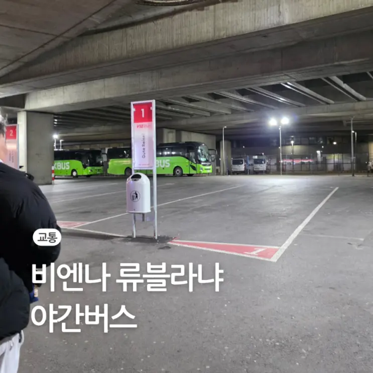 비엔나 류블라냐 가는 법 기차 플릭스 버스 예약 가격 시간 비교