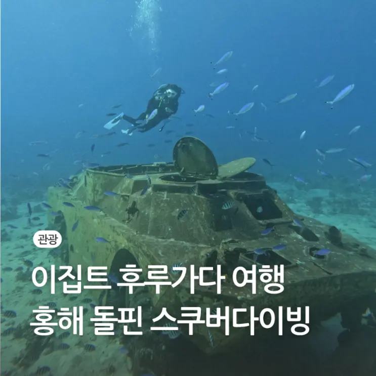이집트 홍해 다합 대신 후루가다 스쿠버다이빙 돌핀 하우스 투어 가격 후기