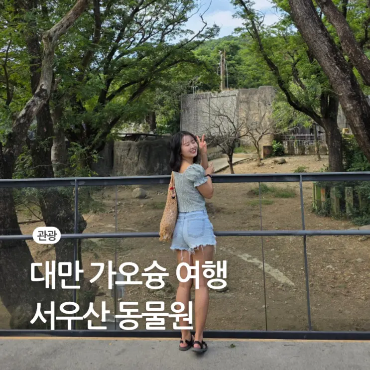 가오슝 여행 서우산 동물원 가는 법 입장료 티켓 운영시간 동물 지도