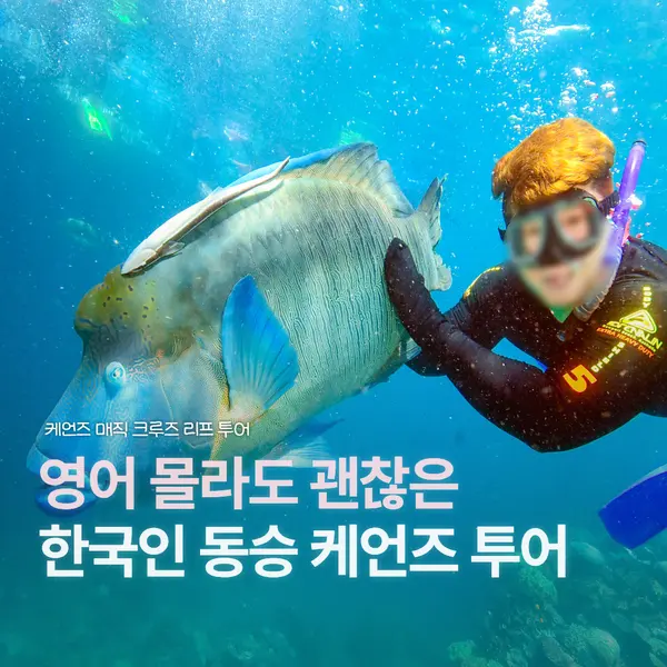 케언즈 리프 매직 크루즈 한국인 동승 뭐가 좋을까?