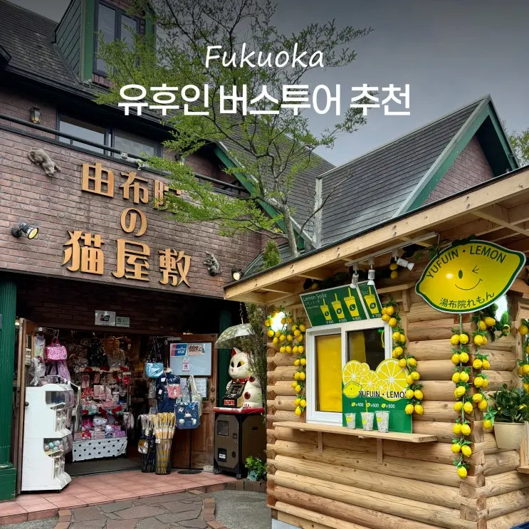 Fukuoka & Yufuin Bus Tour: A Charming Day Trip to Dazaifu and Nearby Towns