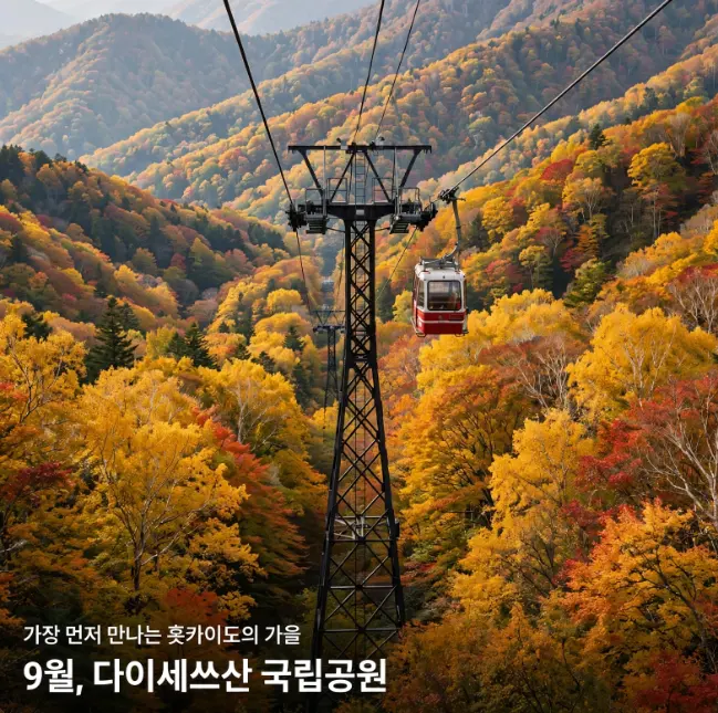 2026年9月末、日本で紅葉の絶景を堪能できる場所：北海道大雪山