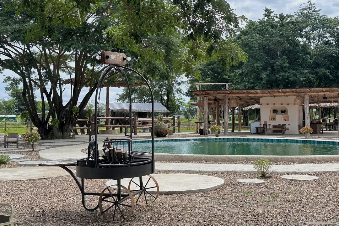 Chiang Mai Elephant Cafe Experience - Opened in 2025