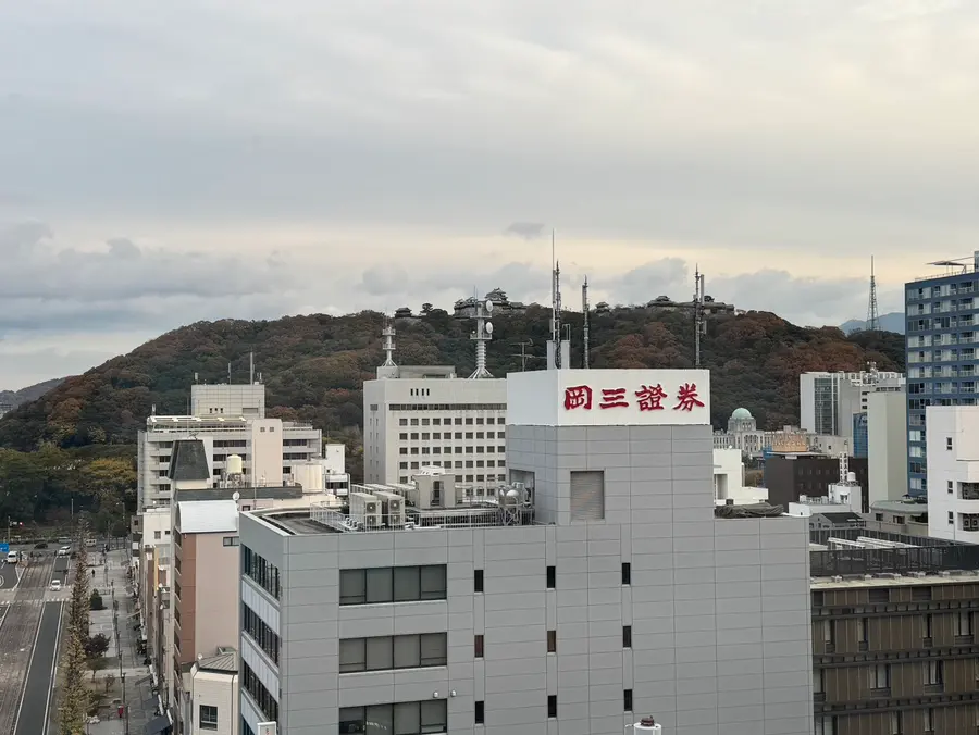 멀리 보이는 마쓰야마성