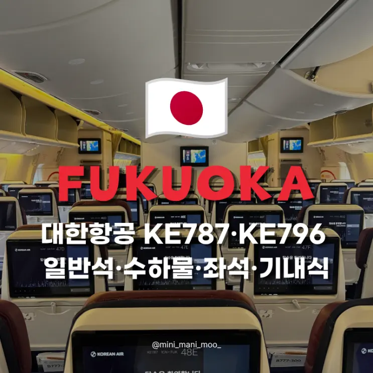 대한항공 후쿠오카 KE787 KE796 일반석 수하물 좌석 기내식 후기