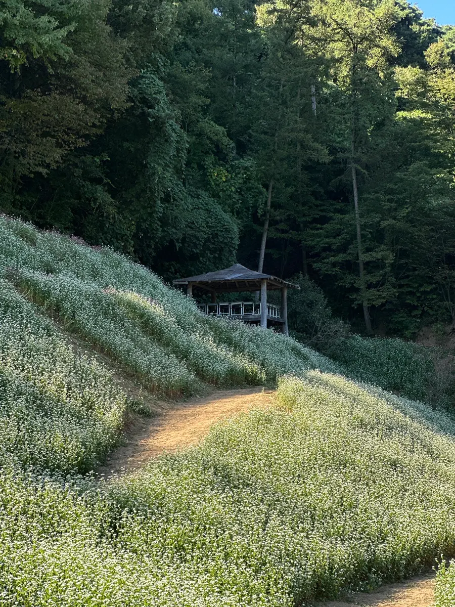오두막 포토존