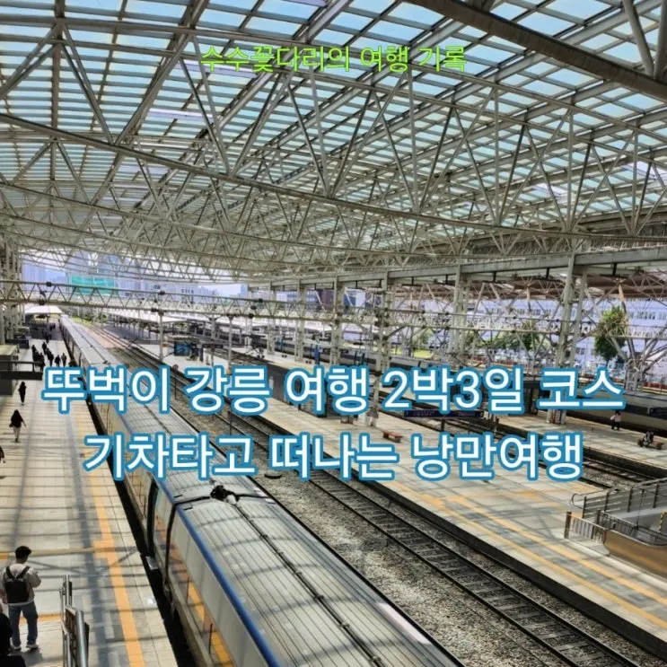 KTX-이음 타고 떠나는 뚜벅이 강릉여행 2박 3일 코스(묵호,시티버스)
