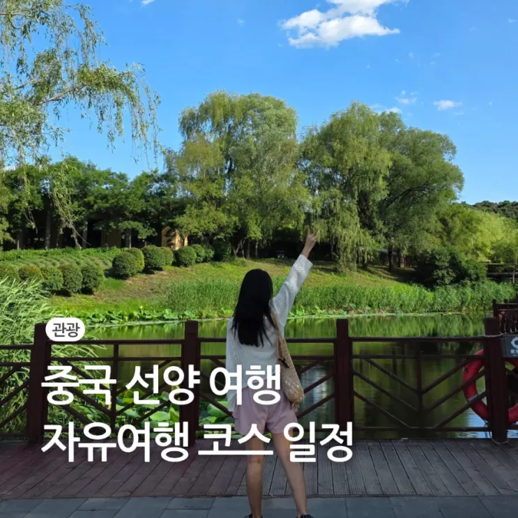 선양 심양 자유 여행 코스 삼림동물원 태원가 가볼만한곳