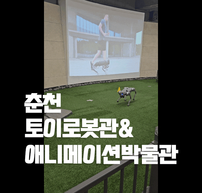 2월 춘천여행]2일차 춘천 로봇 토이관 애니메이션박물관 카페 비용 후기