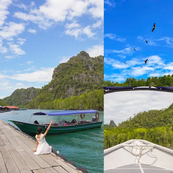 Malaysia Travel: Recommended Kilim Mangrove Tour in Langkawi