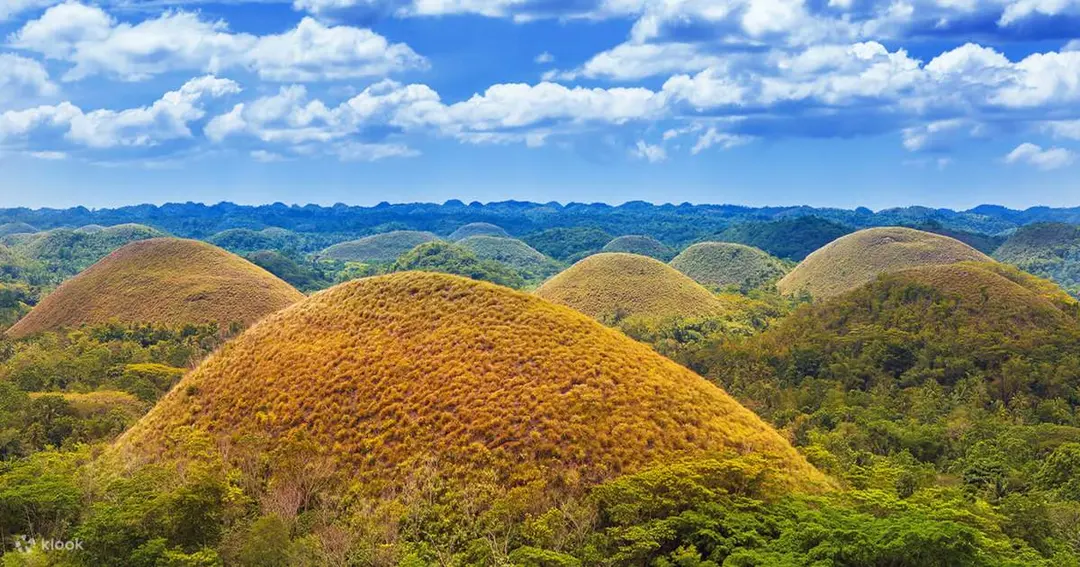 Bohol Countryside Day Tour All-in Package - Explore Bohol's Best Attractions - Klook