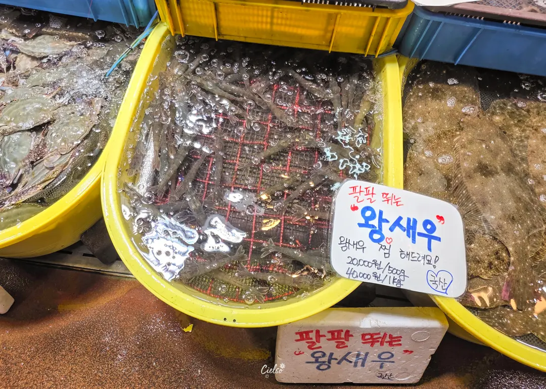 왕새우