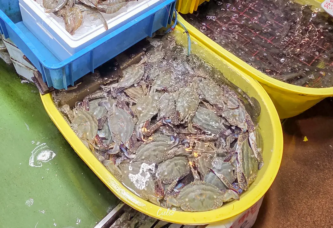 꽃게