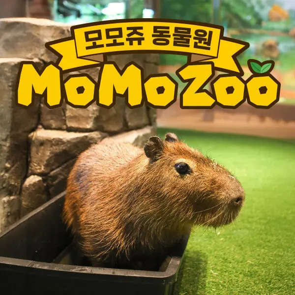 모모쥬 동물원 (제주신화월드점)